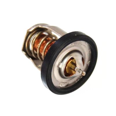 Лот: 22394147. Фото: 1. Термостат 60°C Suzuki DF9.9-DF15... Запчасти для лодок, катеров, лодочных моторов