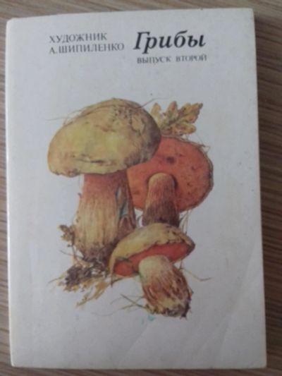 Лот: 11792018. Фото: 1. набор открыток грибы. Открытки, конверты