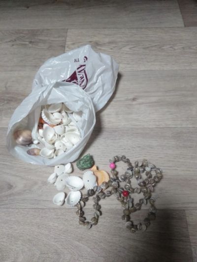Лот: 17078291. Фото: 1. Ракушки для творчества. Отдам... Бижутерия ручной работы