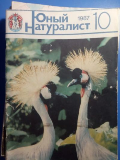 Лот: 20853770. Фото: 1. Журнал Юный натуралист №10 1987... Детские