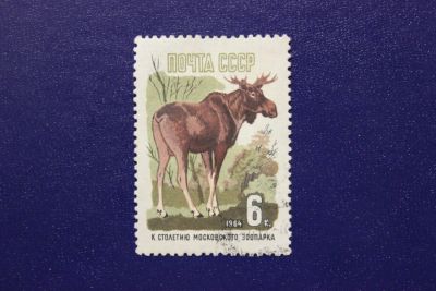 Лот: 7367221. Фото: 1. Почтовая марка №4868 в коллекцию. Марки