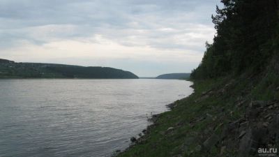Лот: 11834084. Фото: 1. Куплю дачу восточное направление... Дачи