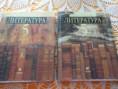 Лот: 16858263. Фото: 1. Учебник "Литература" 5 класс... Для школы