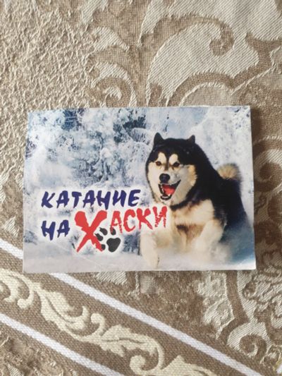 Лот: 16725817. Фото: 1. Сертификат катание на Хаски... Подарочные сертификаты, купоны, промокоды