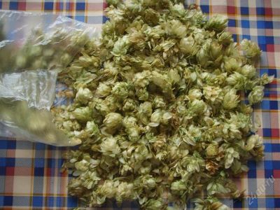 Лот: 1240156. Фото: 1. Первосортный хмель! Хоть на опару... Другое (продукты)