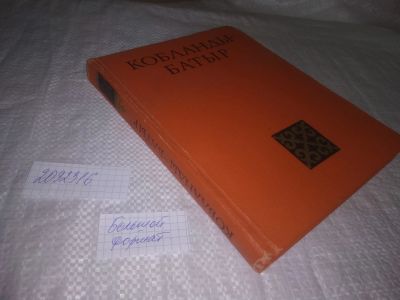 Лот: 23554756. Фото: 1. oz меш. (2092316) Кобланды-Батыр... Художественная
