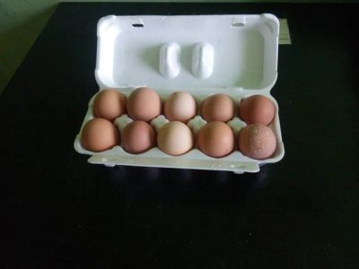 Лот: 10042384. Фото: 1. яйцо столовое куриное. Мясо, птица, яйцо