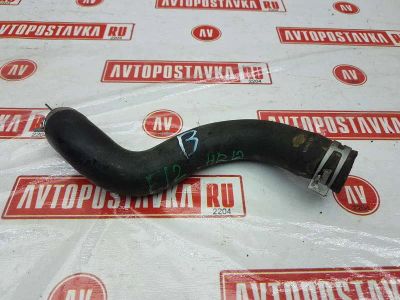 Лот: 20901357. Фото: 1. Шланг радиатора Nissan Note E12... Двигатель и элементы двигателя