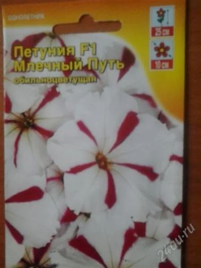 Лот: 2784189. Фото: 1. Рассада петунии Млечный путь. Другое (семена, рассада, садовые растения)