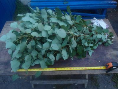 Лот: 7942102. Фото: 1. Осиновые пучки для кормления коз... Корма