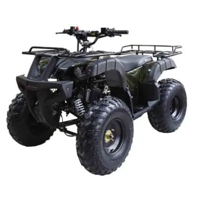 Лот: 25759459. Фото: 1. Квадроцикл WELS ATV Thunder 150. Снегоходы, квадроциклы