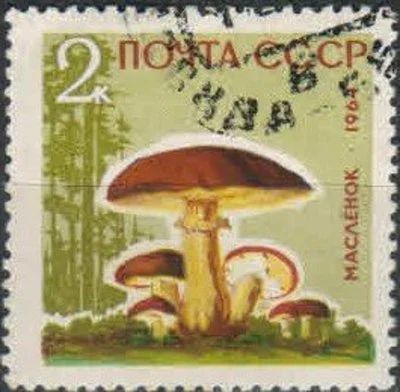 Лот: 18172766. Фото: 1. 1964, 30 ноября. Грибы. н.с... Марки