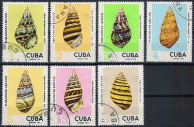 Лот: 20849569. Фото: 1. 1973. Куба. Ракушки. Полная серия... Марки