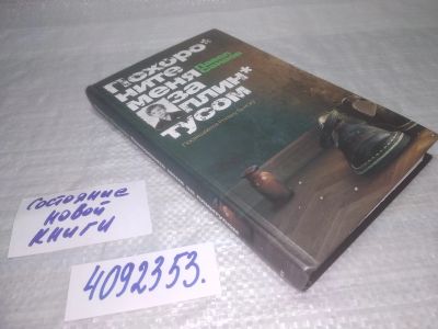 Лот: 24864175. Фото: 1. оз..вб...(4092353) Санаев Павел... Художественная
