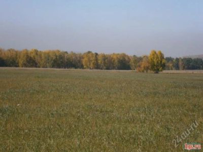 Лот: 1539124. Фото: 1. земельный участок. Земельные участки