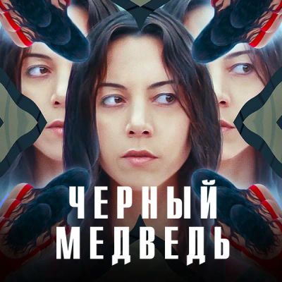 Лот: 24290403. Фото: 1. Черный медведь. Видеозаписи, фильмы