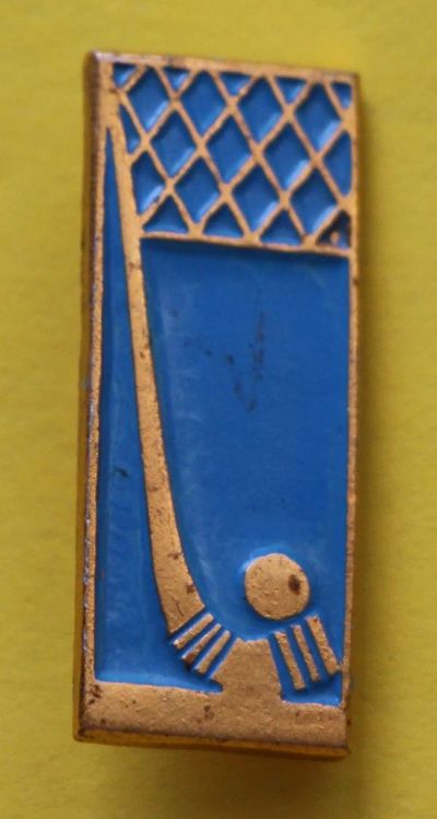Лот: 7059746. Фото: 1. Знак: Хоккей с мячом. (Пл. №1... Сувенирные