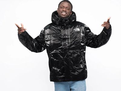 Лот: 20849267. Фото: 1. Куртка зимняя The North Face... Верхняя одежда