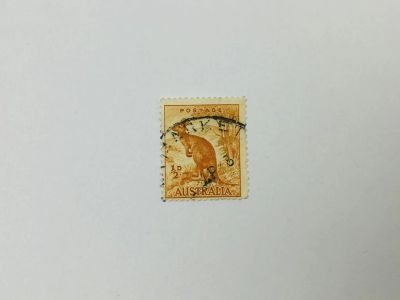 Лот: 23963770. Фото: 1. Большой рыжий кенгуру. Фауна... Марки