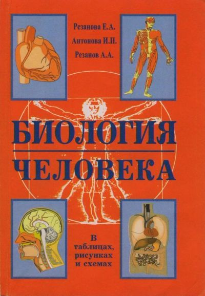 Лот: 16639680. Фото: 1. Резанова Е., Антонова И., Резанов... Для школы