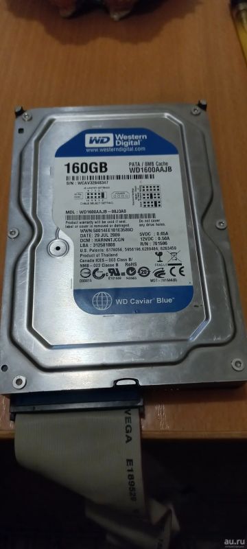 Лот: 18563296. Фото: 1. Жесткий диск western digital. Жёсткие диски (HDD)
