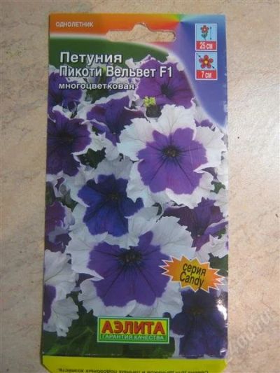 Лот: 2722333. Фото: 1. Петуния Пикоти Вельвет (рассада... Другое (семена, рассада, садовые растения)