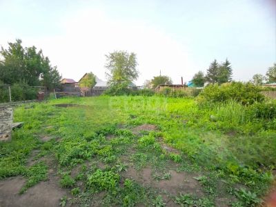 Лот: 25547167. Фото: 1. участок , садовое товарищество... Земельные участки