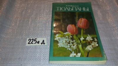 Лот: 7648124. Фото: 1. Тюльпаны, В.Кудрявцева, Описаны... Сад, огород, цветы
