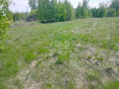 Лот: 25296171. Фото: 1. участок , деревня Терентьево деревня... Земельные участки