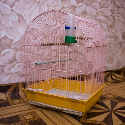 Лот: 6124402. Фото: 1. Клетка для волнистого попугая. Домики, переноски, клетки, когтеточки