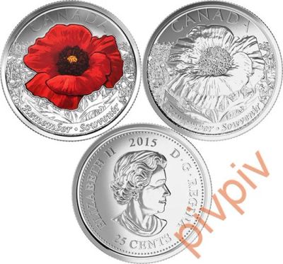 Лот: 7310810. Фото: 1. Канада 25 центов 2015 года. На... Америка