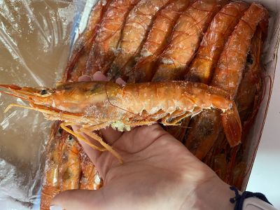 Лот: 16766574. Фото: 1. Креветки или Лангустины 2 кг... Икра, рыба, морепродукты