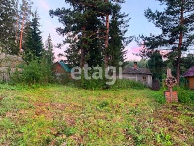 Лот: 25299131. Фото: 1. участок , садоводческое некоммерческое... Земельные участки