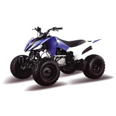 Лот: 25659118. Фото: 1. Квадроцикл ATV Pantera 125. Снегоходы, квадроциклы