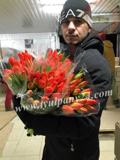 Лот: 16765983. Фото: 1. Тюльпаны Lalibella оптом Омск... Свежие цветы