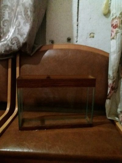 Лот: 12250584. Фото: 1. Аквариум 6л. Аквариумы, террариумы
