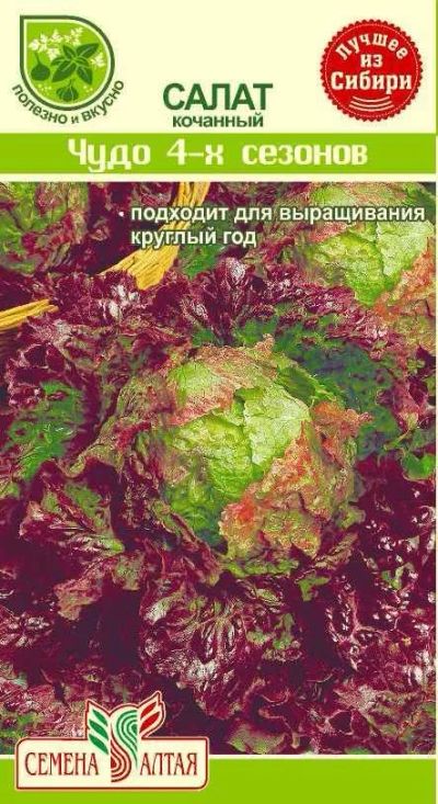 Лот: 10985152. Фото: 1. Семена салата "Чудо 4-х сезонов... Овощи