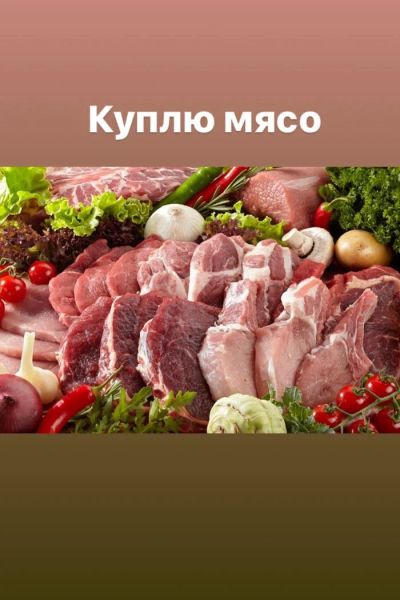 Лот: 10995012. Фото: 1. Требуется мясо (Свинина,говядина... Мясо, птица, яйцо