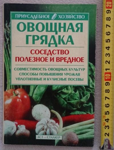 Лот: 7145207. Фото: 1. Овощная грядка. Соседство полезное... Сад, огород, цветы