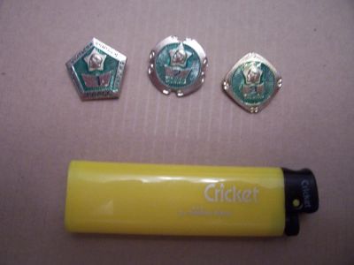 Лот: 5171478. Фото: 1. начальная школа. Другое (значки, медали, жетоны)