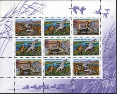 Лот: 16276322. Фото: 1. 1992, июль. Утки. 35-37. МЛ. Марки
