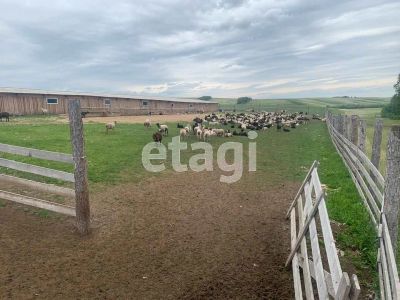 Лот: 25298662. Фото: 1. коммерческая , , 4/1. продажа. Коммерческая недвижимость