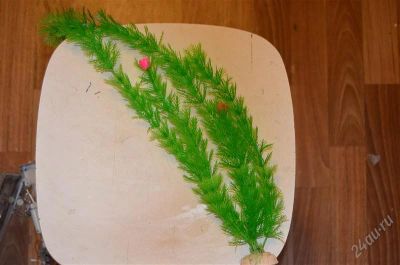 Лот: 2687101. Фото: 1. Водоросли искусственные. Грунты, украшения, наполнения