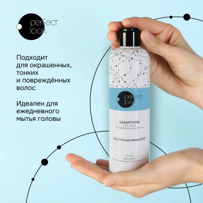Лот: 23983986. Фото: 1. Перфект Лук шампунь для сухих... Уход за волосами 
