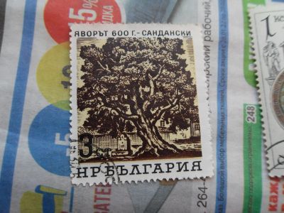 Лот: 18588249. Фото: 1. Почтовая марка № 1100. Марки