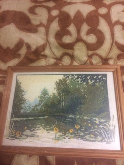 Лот: 10970903. Фото: 1. Картина Болото.Крестиком. Картины, рисунки
