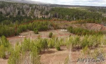 Лот: 4129732. Фото: 1. Участок ЛПХ ст. Минино 46 сот... Коммерческая недвижимость