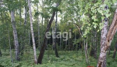 Лот: 25299374. Фото: 1. участок , дачный посёлок Ветеран... Земельные участки