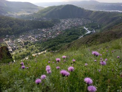 Лот: 13754020. Фото: 1. Дачный участок. Земельные участки