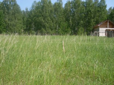Лот: 4217047. Фото: 1. Продам земельный участок возле... Земельные участки